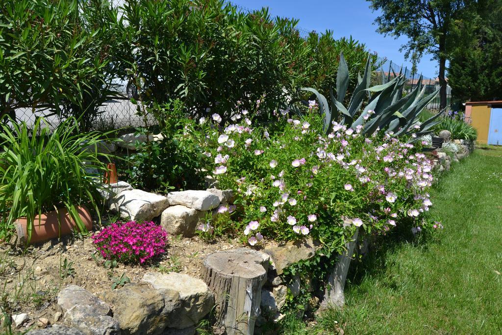 Village de gîtes Les Olivettes Saint-Dezery Extérieur photo